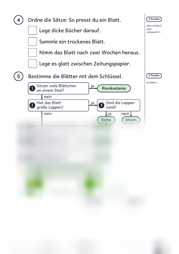 Laubbäume bestimmen: Test mit Lösung, Strona 2 z 2, Ze wsparciem, Karta ucznia, Podgląd, dolna część nieczytelna