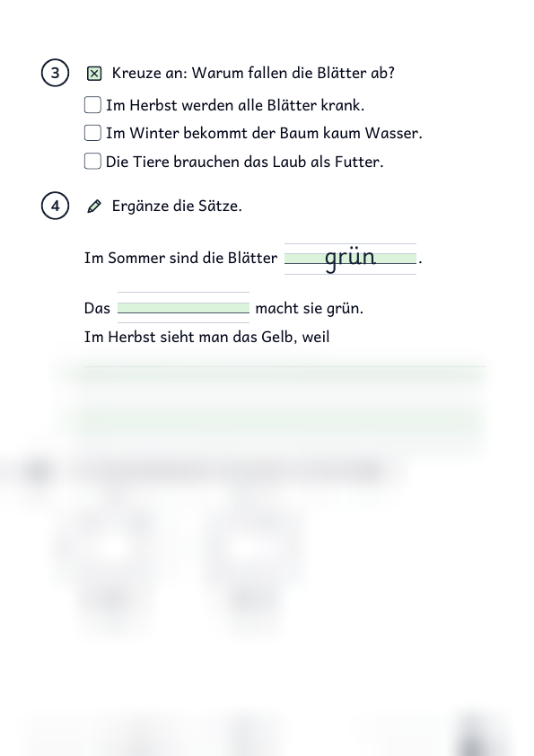 Warum färben sich Blätter: Lesetext, Strona 2 z 2, Rozszerzony, Karta ucznia, Podgląd, dolna część nieczytelna