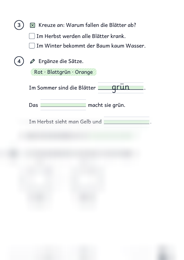 Warum färben sich Blätter: Lesetext, Strona 2 z 2, Ze wsparciem, Karta ucznia, Podgląd, dolna część nieczytelna