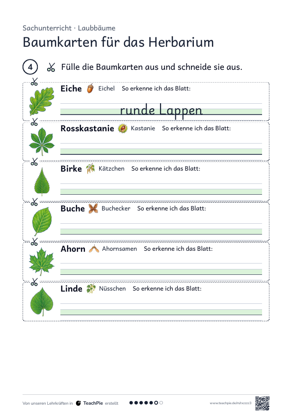 Herbarium anlegen: Anwendung mit Etikett, Seite 3 von 3, Basis, Schülerblatt