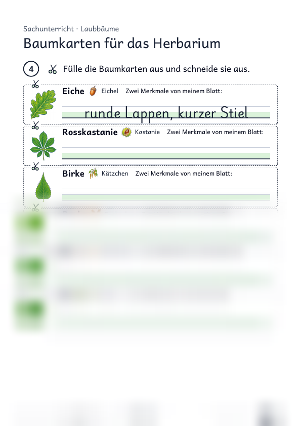 Herbarium anlegen: Anwendung mit Etikett, Strona 3 z 3, Rozszerzony, Karta ucznia, Podgląd, dolna część nieczytelna