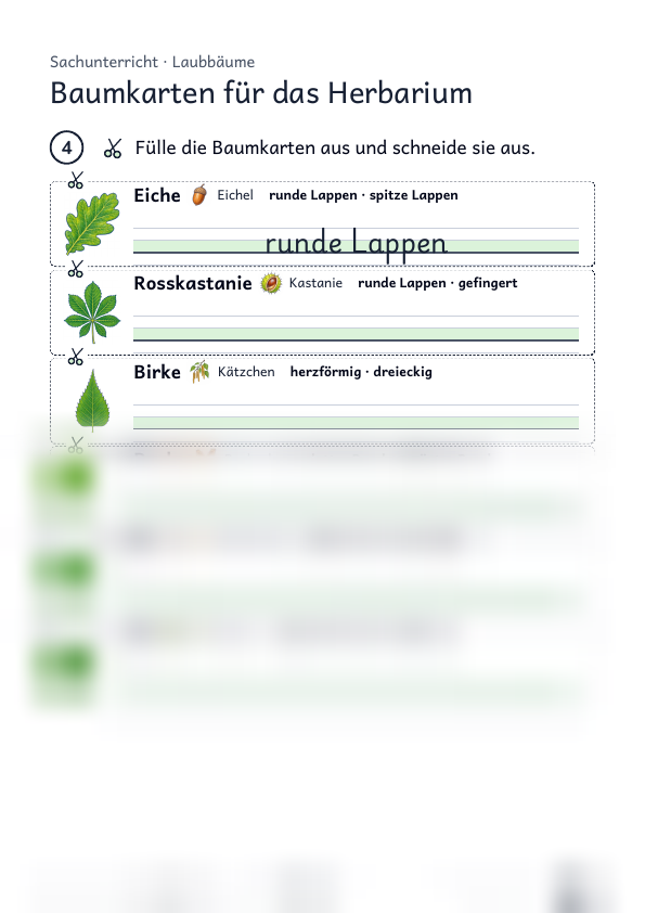 Herbarium anlegen: Anwendung mit Etikett, Strona 3 z 3, Ze wsparciem, Karta ucznia, Podgląd, dolna część nieczytelna